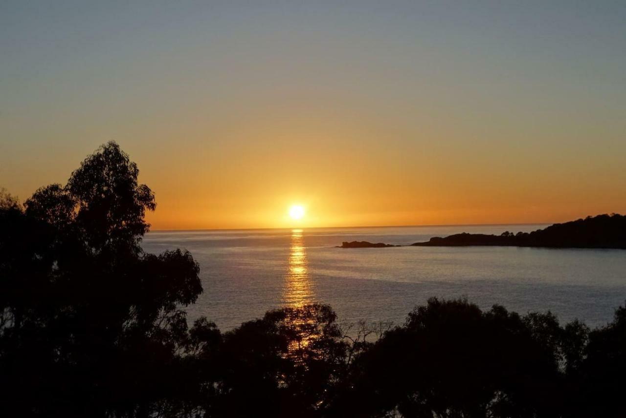 The Loft @ Bay Of Fires Seascape Apartment Binalong Bay Luaran gambar